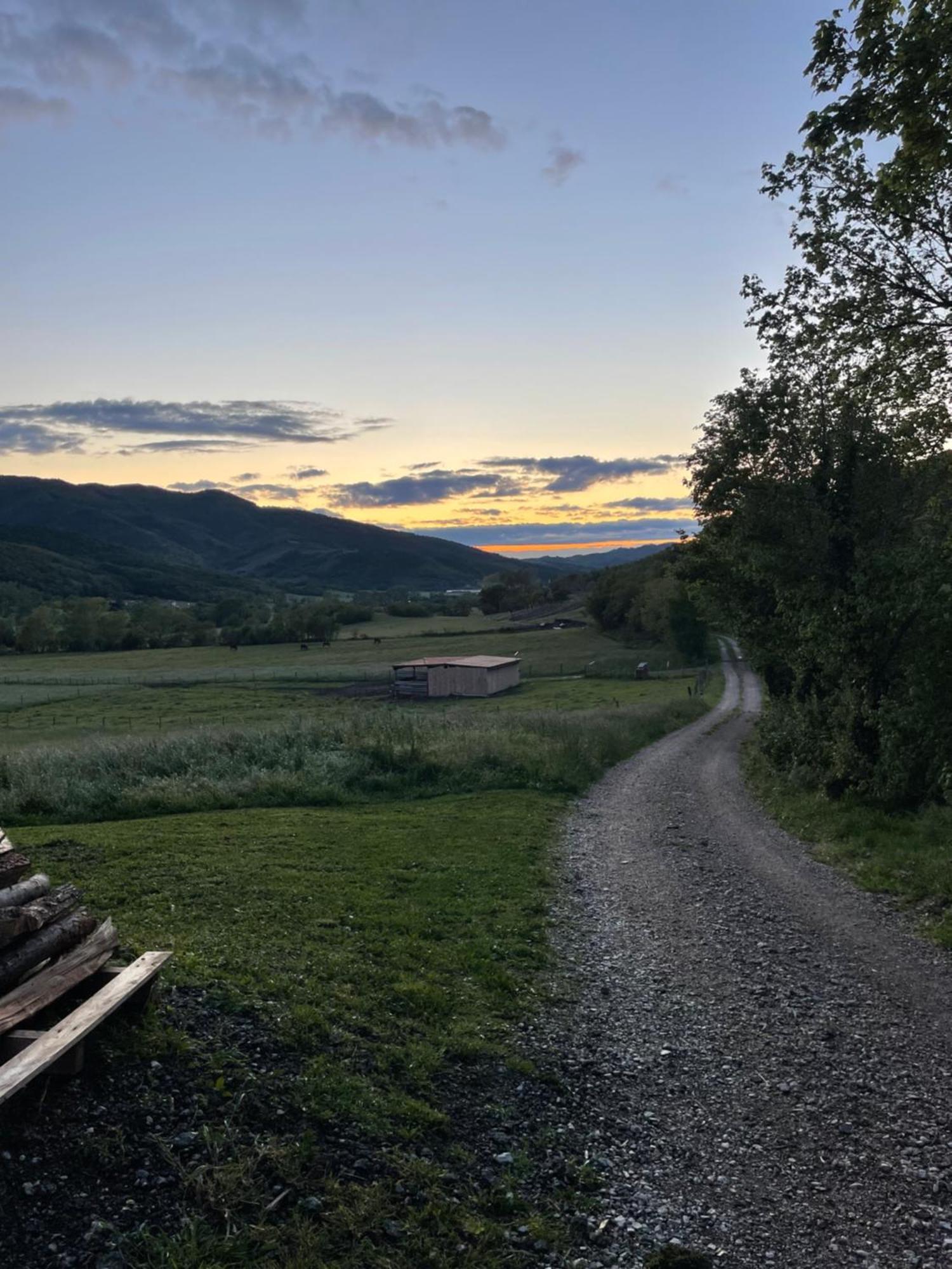 Homestead - Domacija - Nabergoj Podnanos Eksteriør bilde
