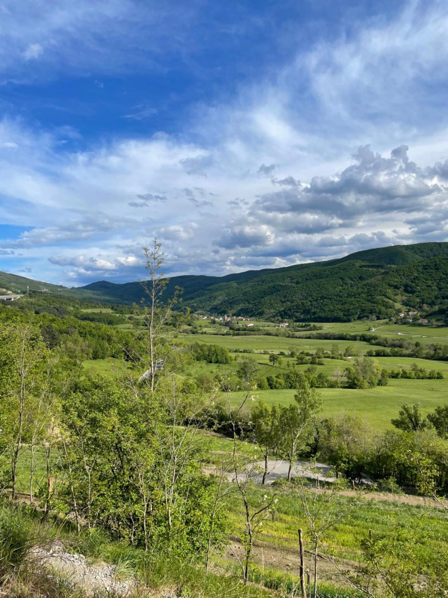 Homestead - Domacija - Nabergoj Podnanos Eksteriør bilde